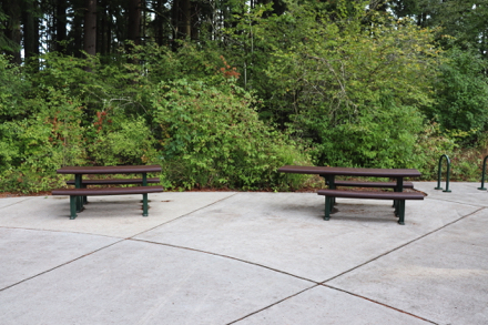 Accessible picnic bench on pavement near parking and trailhead
